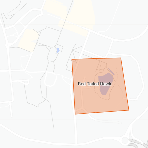 Image of Red-tailed Hawk (*Buteo jamaicensis*). Image taken by [Bob Lalonde](https://www.inaturalist.org/photos/60514571), [CC BY-NC 4.0](https://creativecommons.org/licenses/by-nc/4.0/), via iNaturalist. Hot spot for Red tailed Hawk on campus.