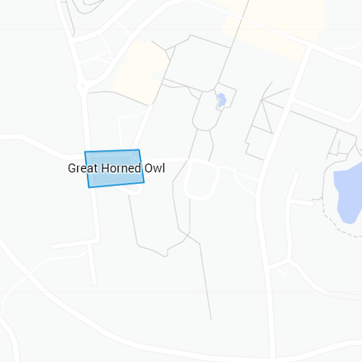 Image of Great Horned Owl (*Bubo virginianus*). Image taken by [Bob Lalonde](https://www.inaturalist.org/photos/260429890), [CC BY-NC 4.0](https://creativecommons.org/licenses/by-nc/4.0/), via iNaturalist. Hot spot for Great Horned Owl on campus.